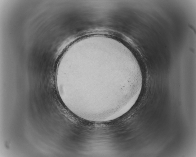 X0000102261312200808221406