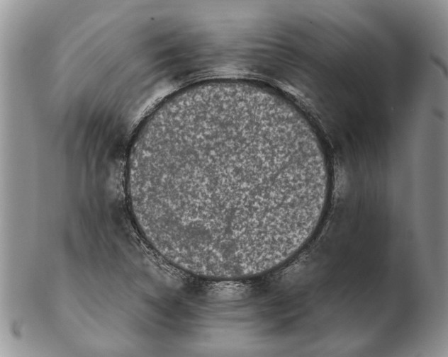 X0000102261314200808221406
