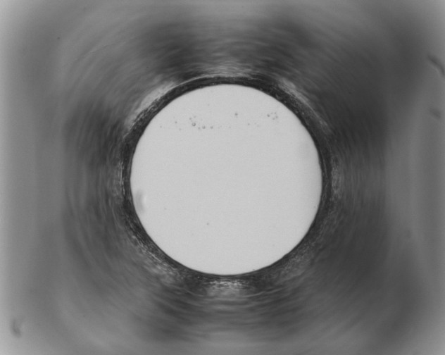 X0000102261315200808221406