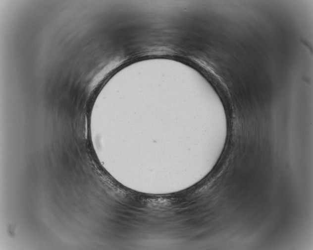 X0000102261317200808221406
