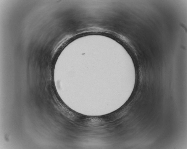 X0000102261318200808221406