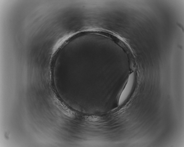X0000102261319200808221406