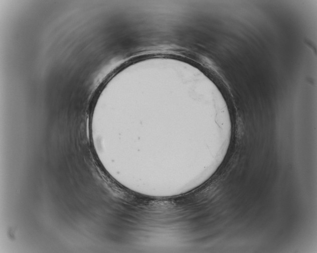 X0000102261320200808221406