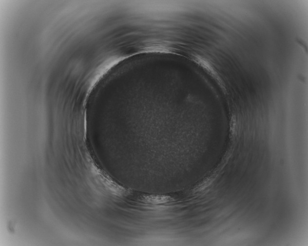 X0000102261323200808221406