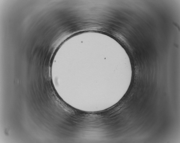 X0000102261324200808221406