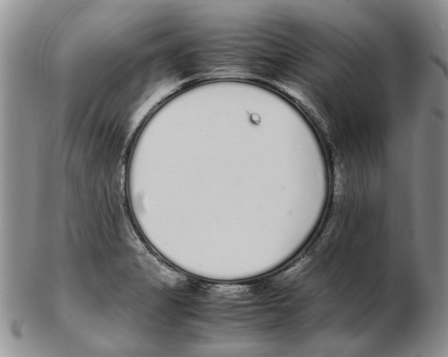 X0000102261325200808221406