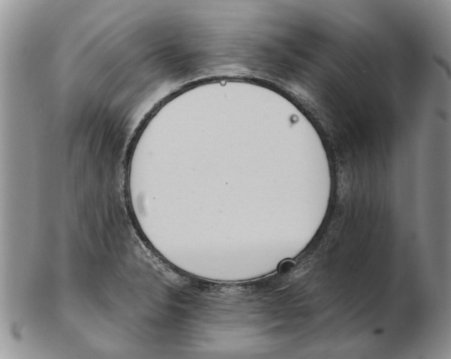 X0000102261326200808221406