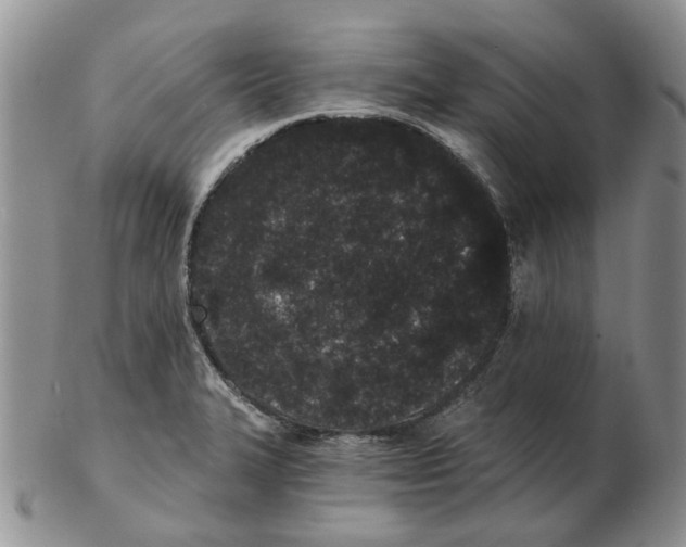 X0000102261327200808221406