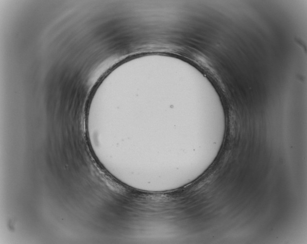 X0000102261328200808221406
