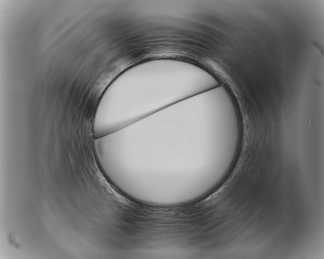 X0000102261329200808221406