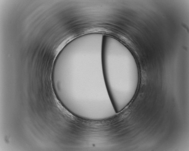 X0000102261330200808221406