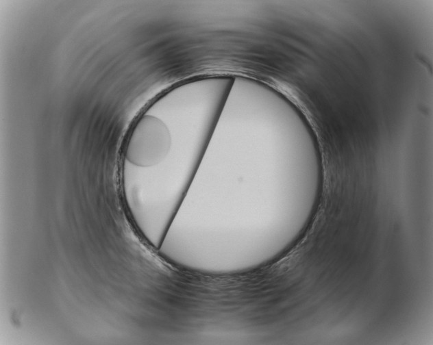 X0000102261331200808221406
