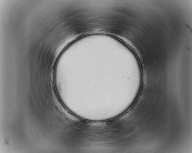 X0000102261333200808221406