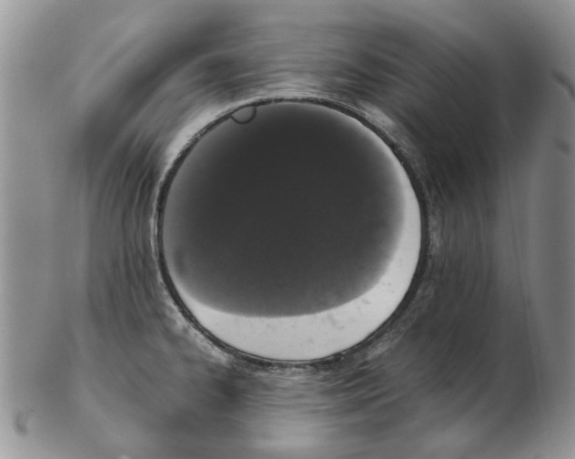 X0000102261334200808221406