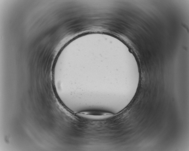 X0000102261335200808221406