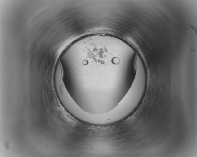 X0000102261336200808221406
