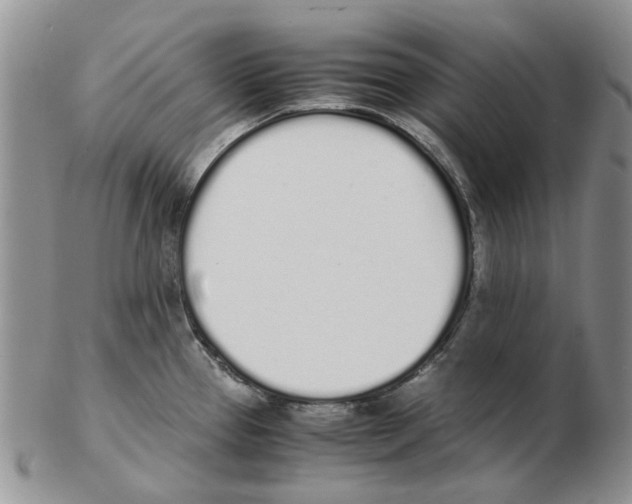 X0000102261337200808221406