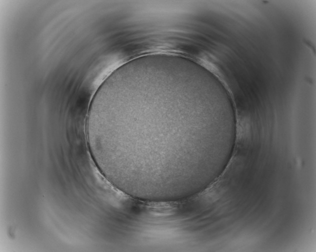 X0000102261338200808221406
