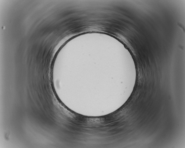 X0000102261339200808221406