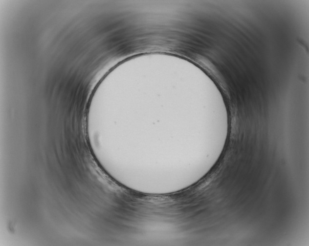 X0000102261340200808221406