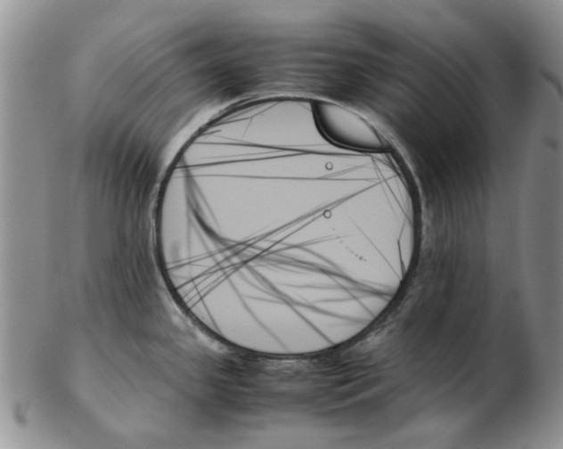 X0000102261341200808221406