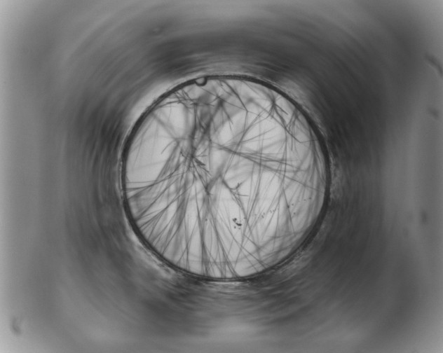 X0000102261342200808221406