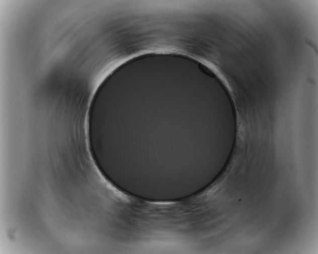 X0000102261343200808221406