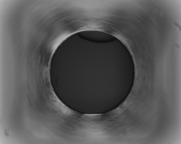 X0000102261344200808221407