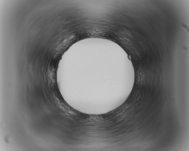 X0000102261346200808221406