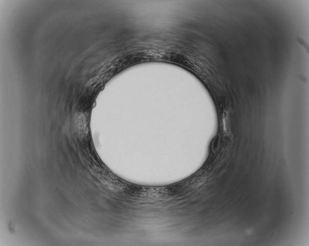 X0000102261347200808221406