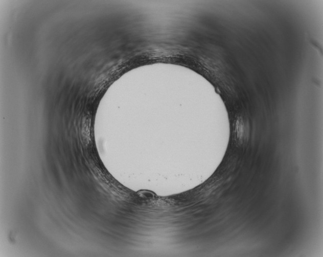 X0000102261348200808221406