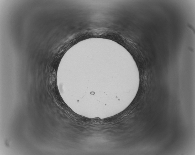 X0000102261349200808221406