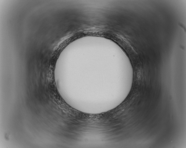 X0000102261350200808221406