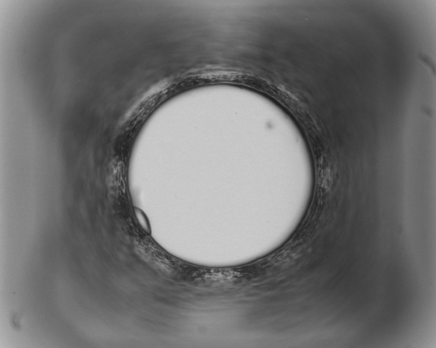 X0000102261351200808221406