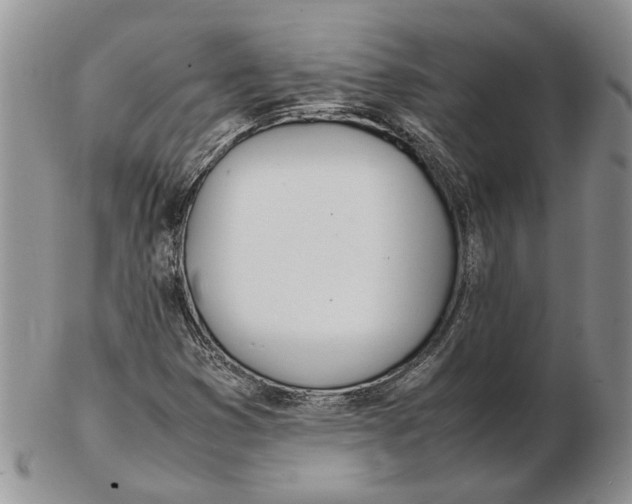 X0000102261353200808221406