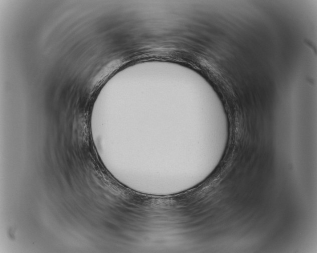 X0000102261354200808221406