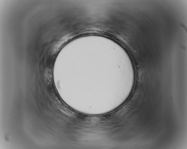 X0000102261355200808221406