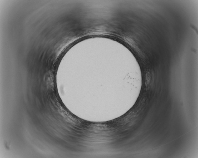 X0000102261356200808221406