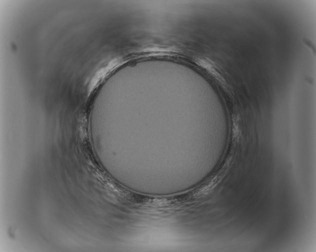 X0000102261357200808221406