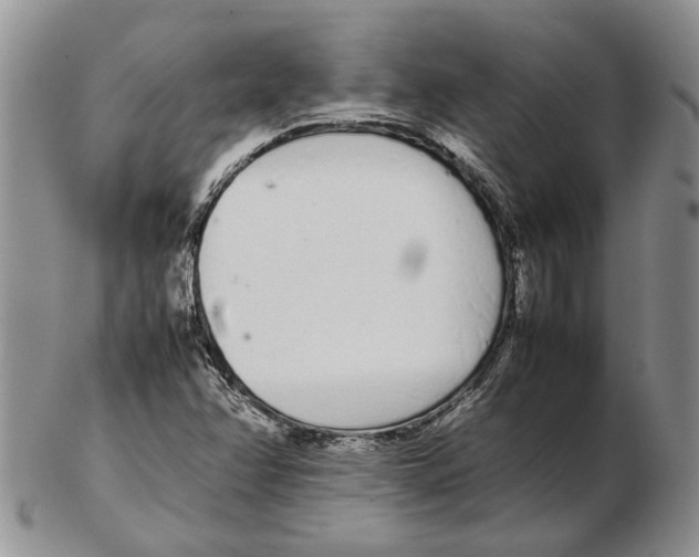 X0000102261358200808221406
