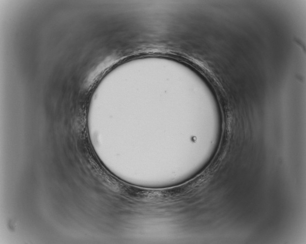 X0000102261359200808221405