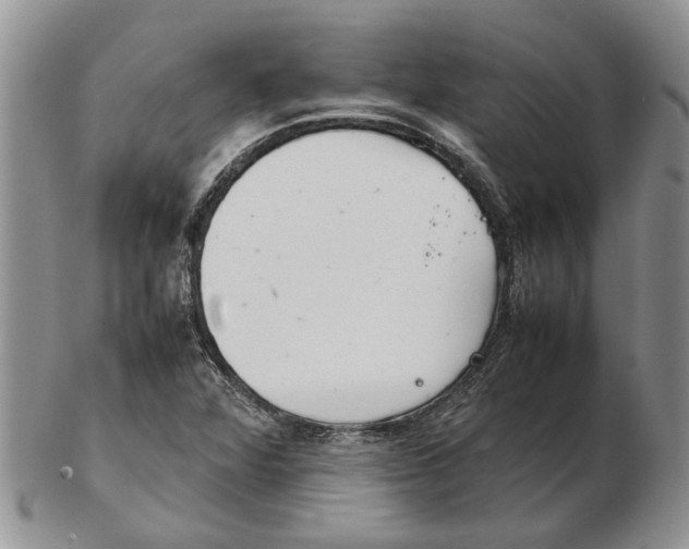 X0000102261360200808221405