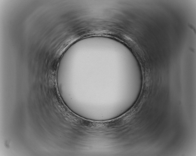 X0000102261361200808221405