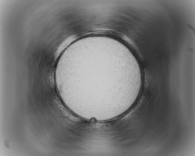X0000102261362200808221405
