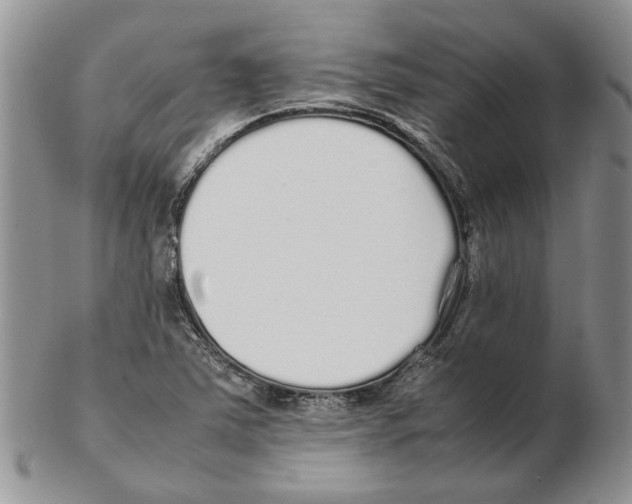 X0000102261363200808221405