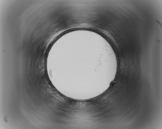 X0000102261364200808221405