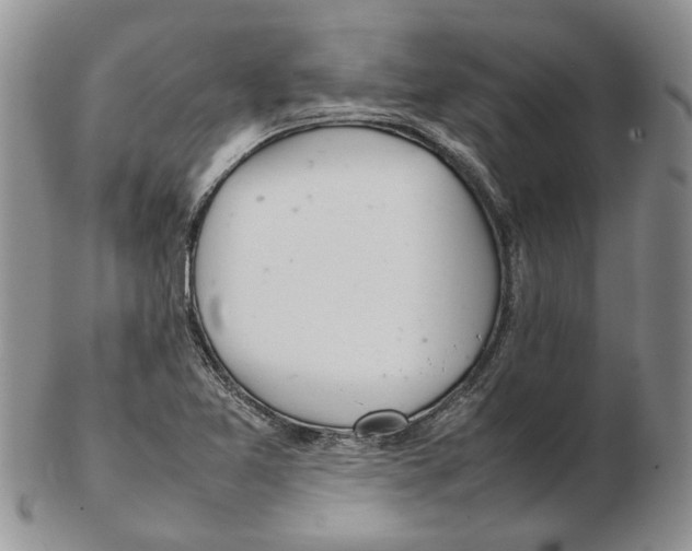 X0000102261365200808221405