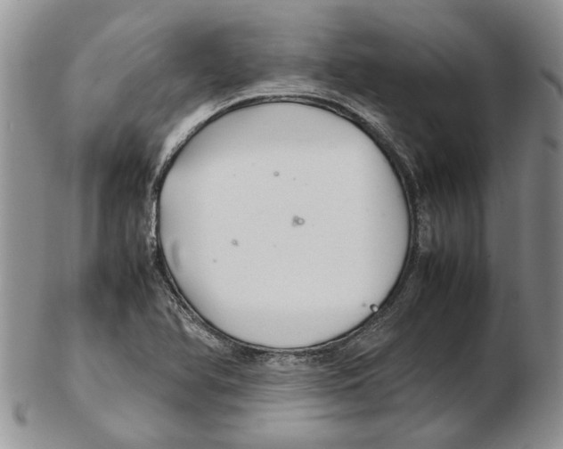 X0000102261366200808221405