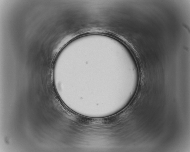 X0000102261367200808221405