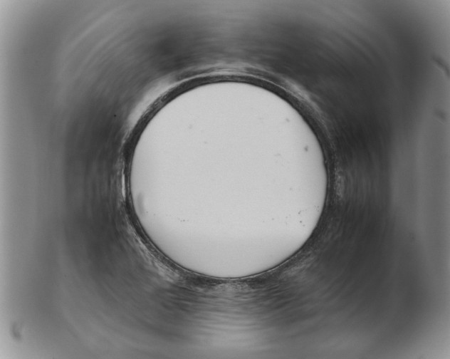 X0000102261368200808221405